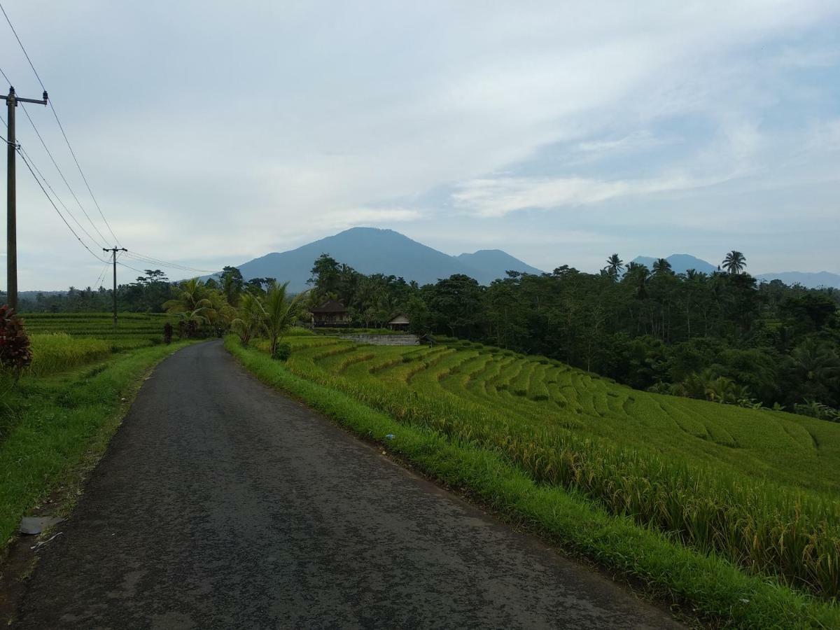 Buana Asti Homestay Tabanan  Exterior photo
